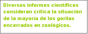 Cuadro de texto: Diversos informes cientficos consideran crtica la situacin de la mayora de los gorilas encerrados en zoolgicos.